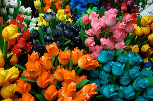 Wooden tulips displayed