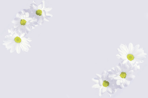 Blommor på vitt papper