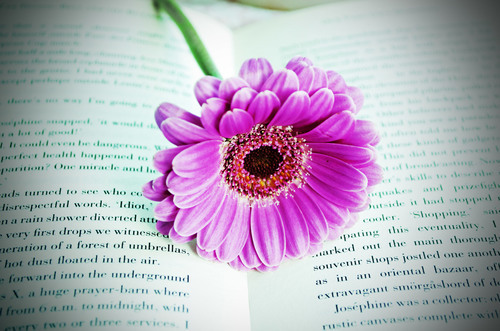 Flower on book