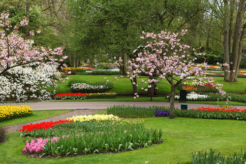 Jardín de flores en primavera