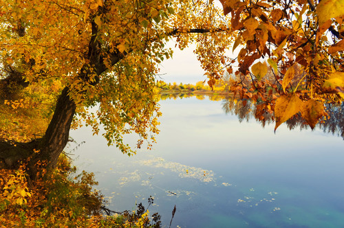Herfst landschap door de rivier