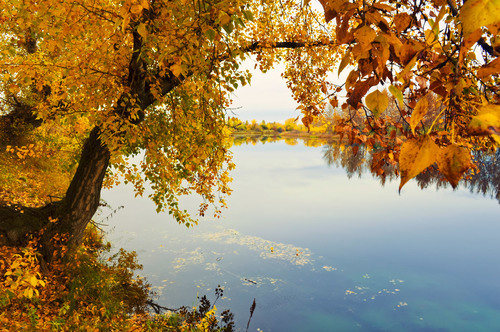 Otoño paisaje junto al río