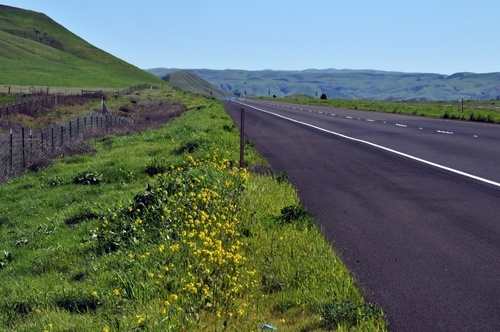 Carretera rural