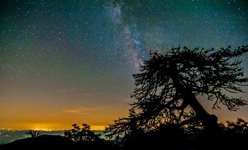 Noite estrelada