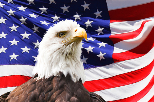 Орел и американский флаг в фоновом режиме