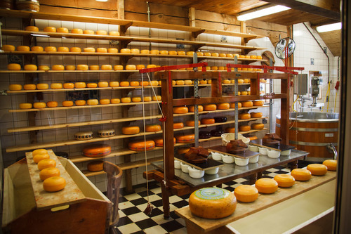 Cheese factory