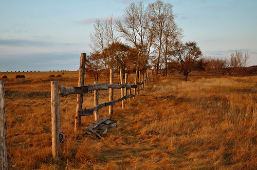 Starý dřevěný plot