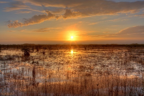 Everglades National Park in the evening