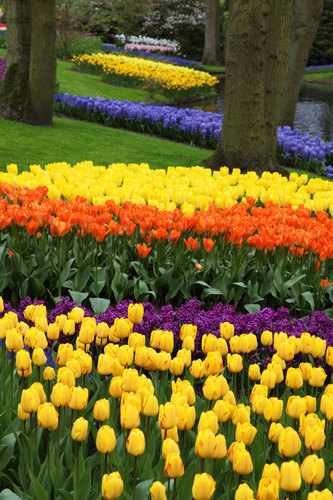 Botaniska trädgården i Holland