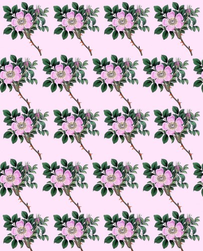 Ornamental flower background