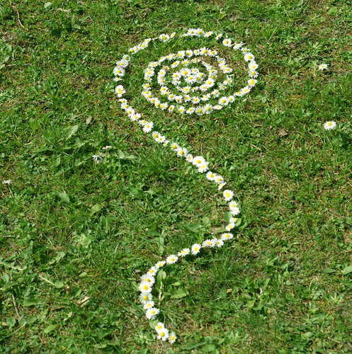 Daisy chain na trávě