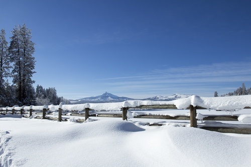 Wooden fence in snow