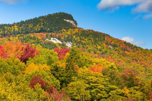 Höstens färgglada landskap