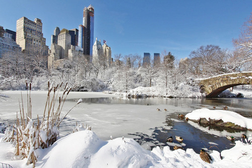 Snow covered park