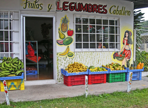 Village food shop front