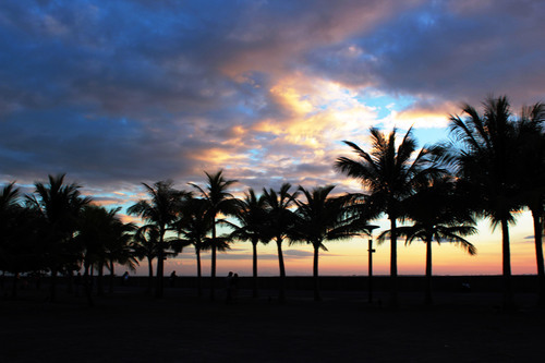 Nightfall in the park