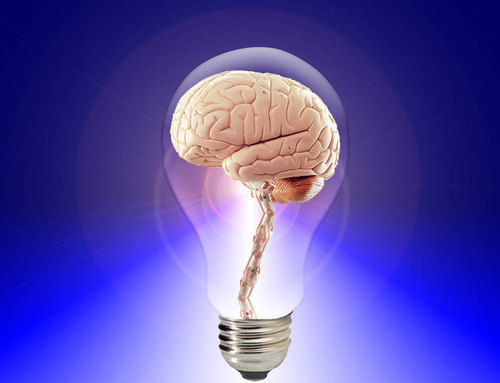 Cerveau à l’intérieur d’une ampoule d’éclairage