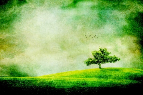 Дерево на иллюстрации травянистые поля