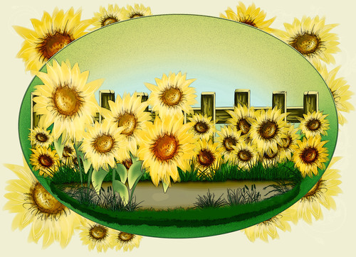 Zonnebloemen illustratie