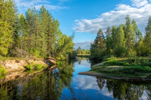 River in Russian taiga
