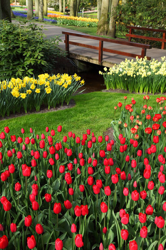 Parco di fioritura in primavera