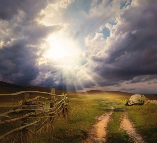 Wooden fence in the countryside