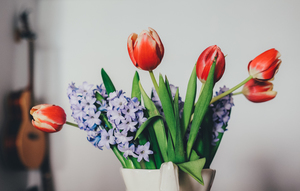 Tulipanes y lilas