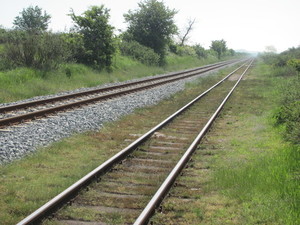 Old rails in summer landscape