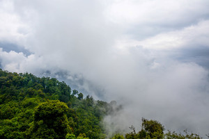 Clouds over the jungle