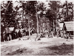 21 ° fanteria del Michigan. Shermans volontari