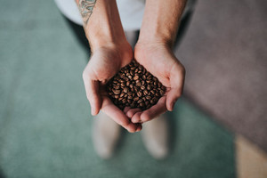Granos de café en palmas