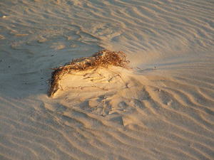 Duna di sabbia