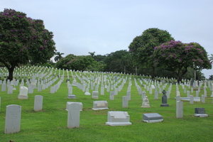 Cementerio de Corozal