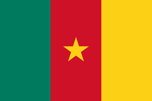 Drapelul Camerunului