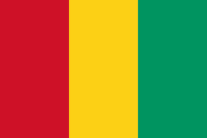 Drapelul Guineei