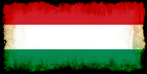 Bandera de Hungría con bordes quemados