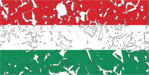 Bandera húngara con agujeros