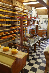 Producción de queso