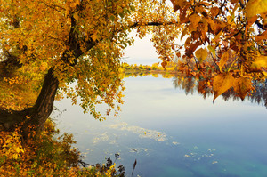 Осенний пейзаж в реке