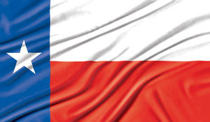 Drapelul statului Texas