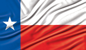 Bandeira do Texas