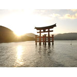 Santuario Miyajima Itsukushima