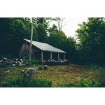 Maison en bois dans la forêt