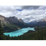 Mountain lake and the forest