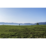 Green field and the mountains