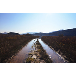 Swamp and the mountains