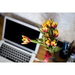 Flowers by the laptop