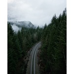 Chemin de fer à travers forêt