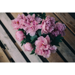 Fleurs sur la table