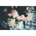 Flowers in a vase on a table